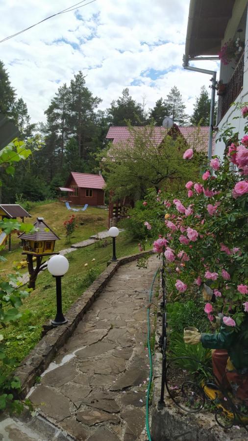 Лісова Казка Βίλα Γιαρέμτσε Εξωτερικό φωτογραφία